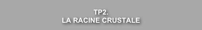 
EX1.
LA RACINE CRUSTALE

 
 
 
 