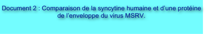 
Document 2 : Comparaison de la syncytine humaine et d’une protéine de l’enveloppe du virus MSRV.

