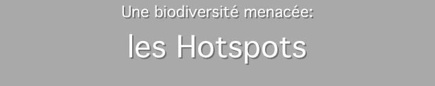 Une biodiversité menacée: 
les Hotspots
